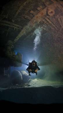 Reef diving Playa del Carmen