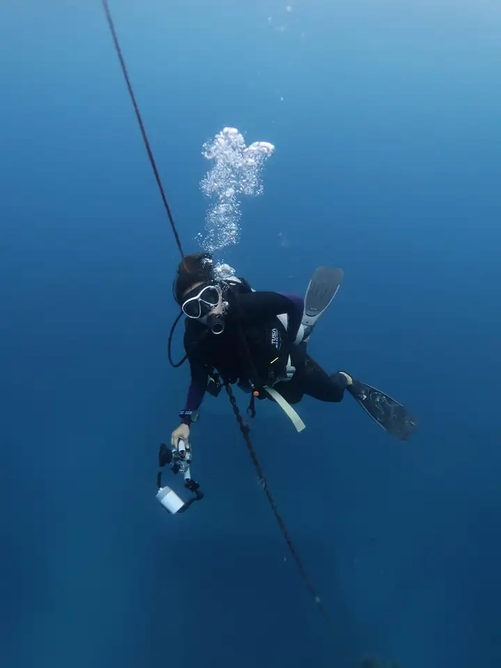 Divemaster