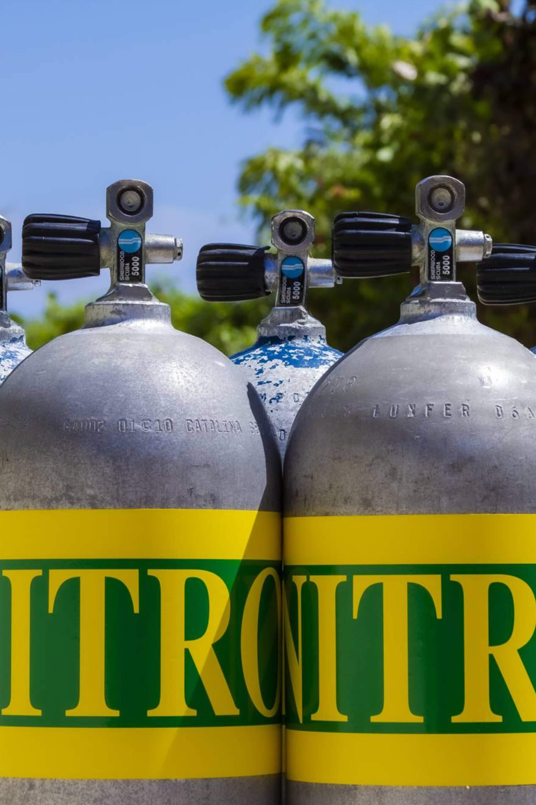 Enriched Air / Nitrox