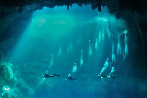 Cenote Diving El Pit