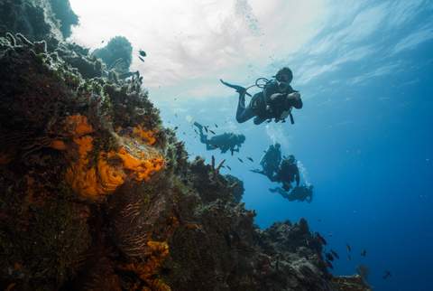 Divers in Cozumel