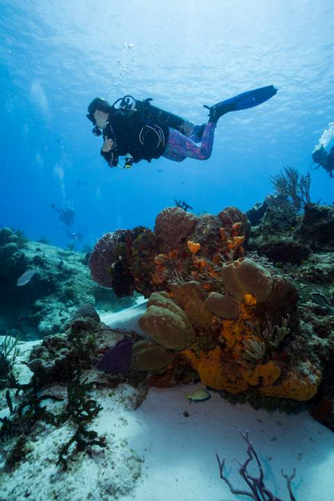 Cozumel Marine Park