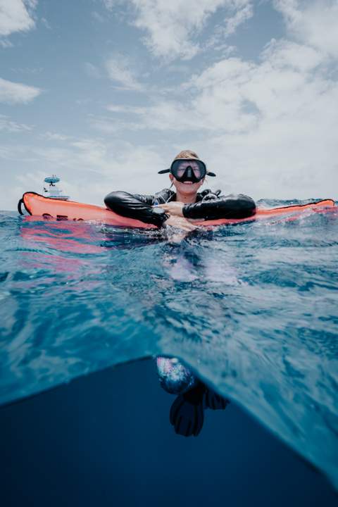 Cozumel diving