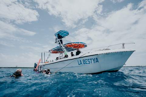 Cozumel Boat Dive
