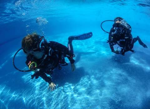 Diving the reefs of Playa del Carmen