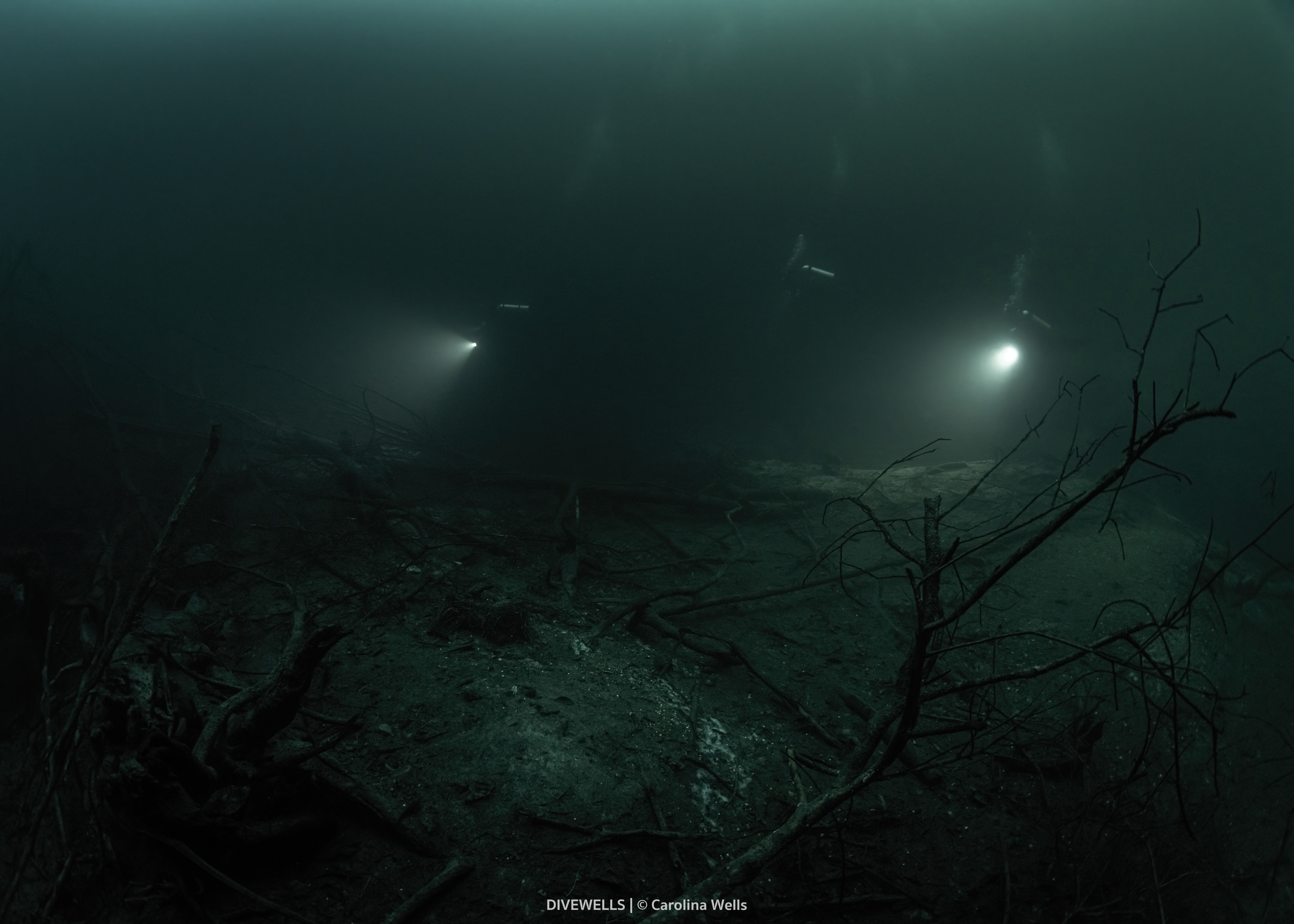 Yaakun cenote diving