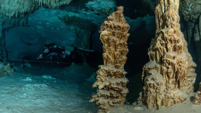 ¿Qué hace que el buceo en cenotes sea diferente del buceo en el mar?