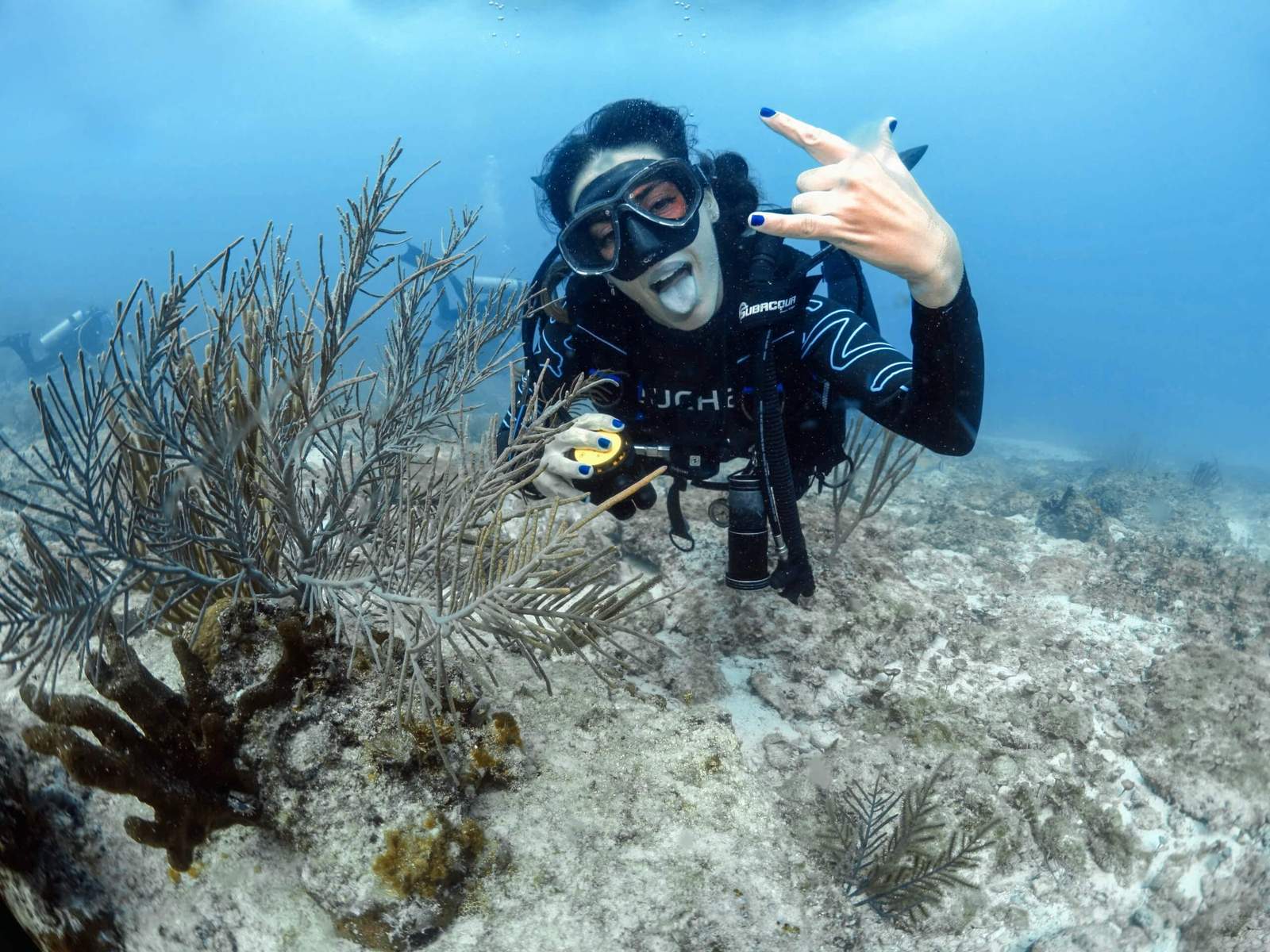 10 consejos clave para encontrar al mejor instructor de buceo: Tu guía para la aventura submarina definitiva