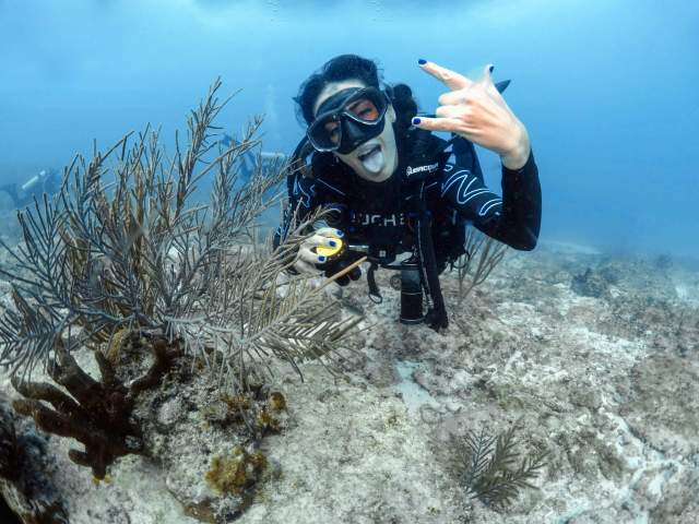 10 consejos clave para encontrar al mejor instructor de buceo: Tu guía para la aventura submarina definitiva