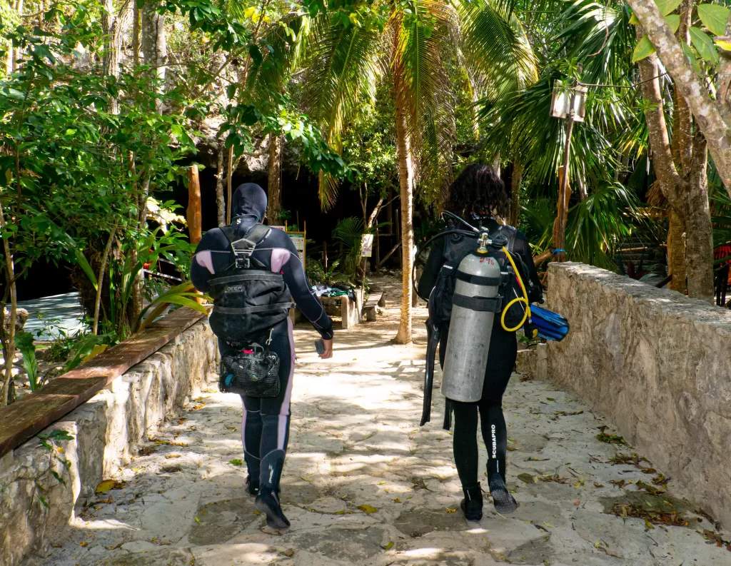 Las mejores rutas de buceo en cenotes para tu primera vez en caverna