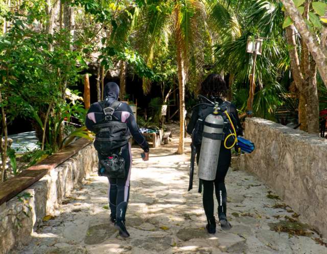 Las mejores rutas de buceo en cenotes para tu primera vez en caverna