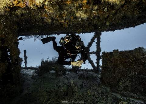 Instructor de Jaguar Divers con estudiantes