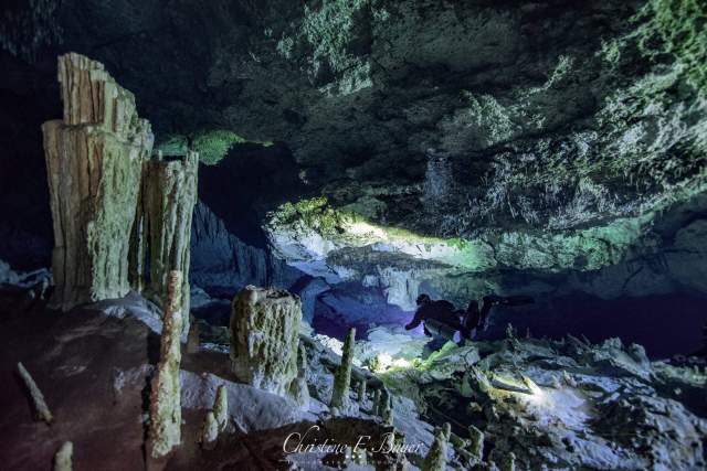 Buceo en Caverna vs. Buceo en Cueva: Lo que los Buzos Recreativos Deben Saber Antes de Bucear en Cenotes