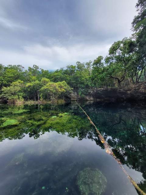 Garden of Eden cenote diving