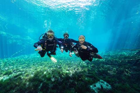 Carwash cenote diving