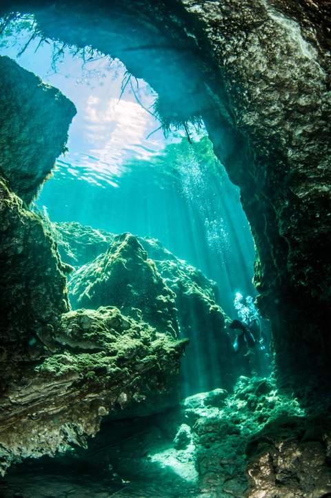Casa Cenote cenote diving