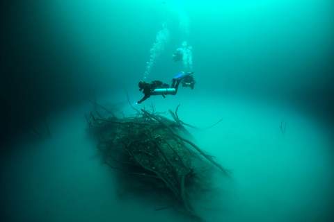 Angelita cenote diving