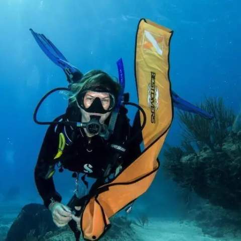 Jaguar Divers team