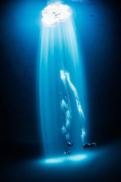 Maravilla cenote diving