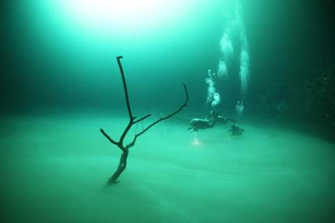 Angelita cenote diving