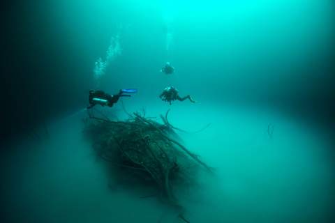Angelita cenote diving