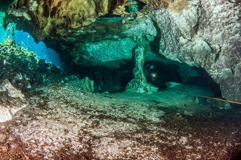 Nicte Ha cenote diving