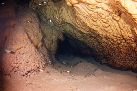 Tak Be Luum cenote diving