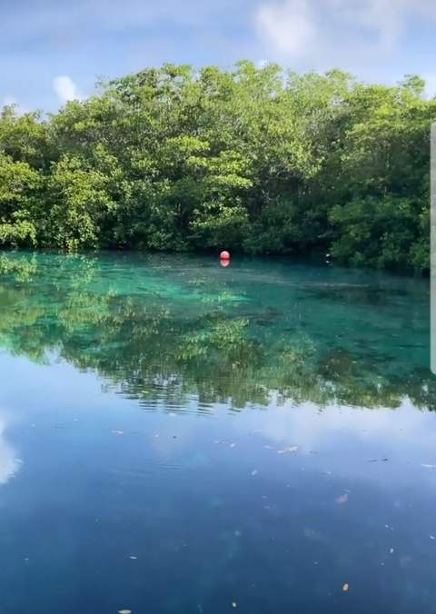 Casa Cenote cenote diving