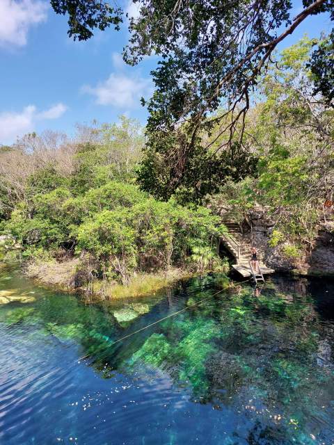 Garden of Eden cenote diving