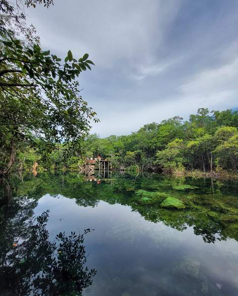 Garden of Eden cenote diving