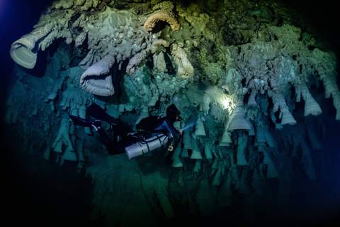 Zapote cenote diving