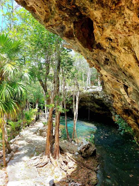 Little Brother cenote diving