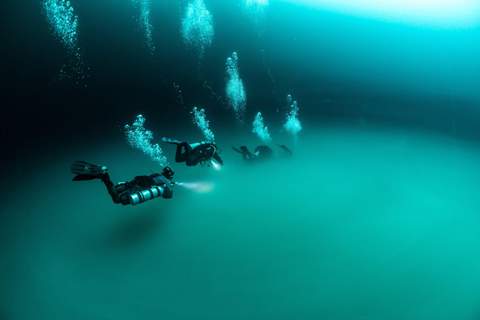 Angelita cenote diving
