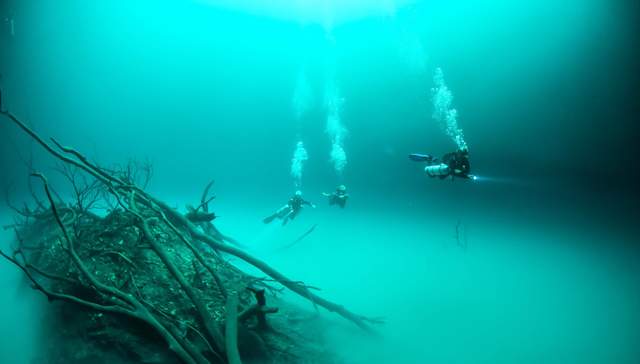 Guía para buceadores sobre formaciones en cenotes: Estalactitas, estalagmitas y cuevas ancestrales