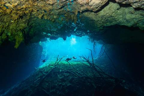 Cenote Carwash