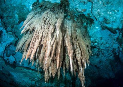 Curso Full Cave